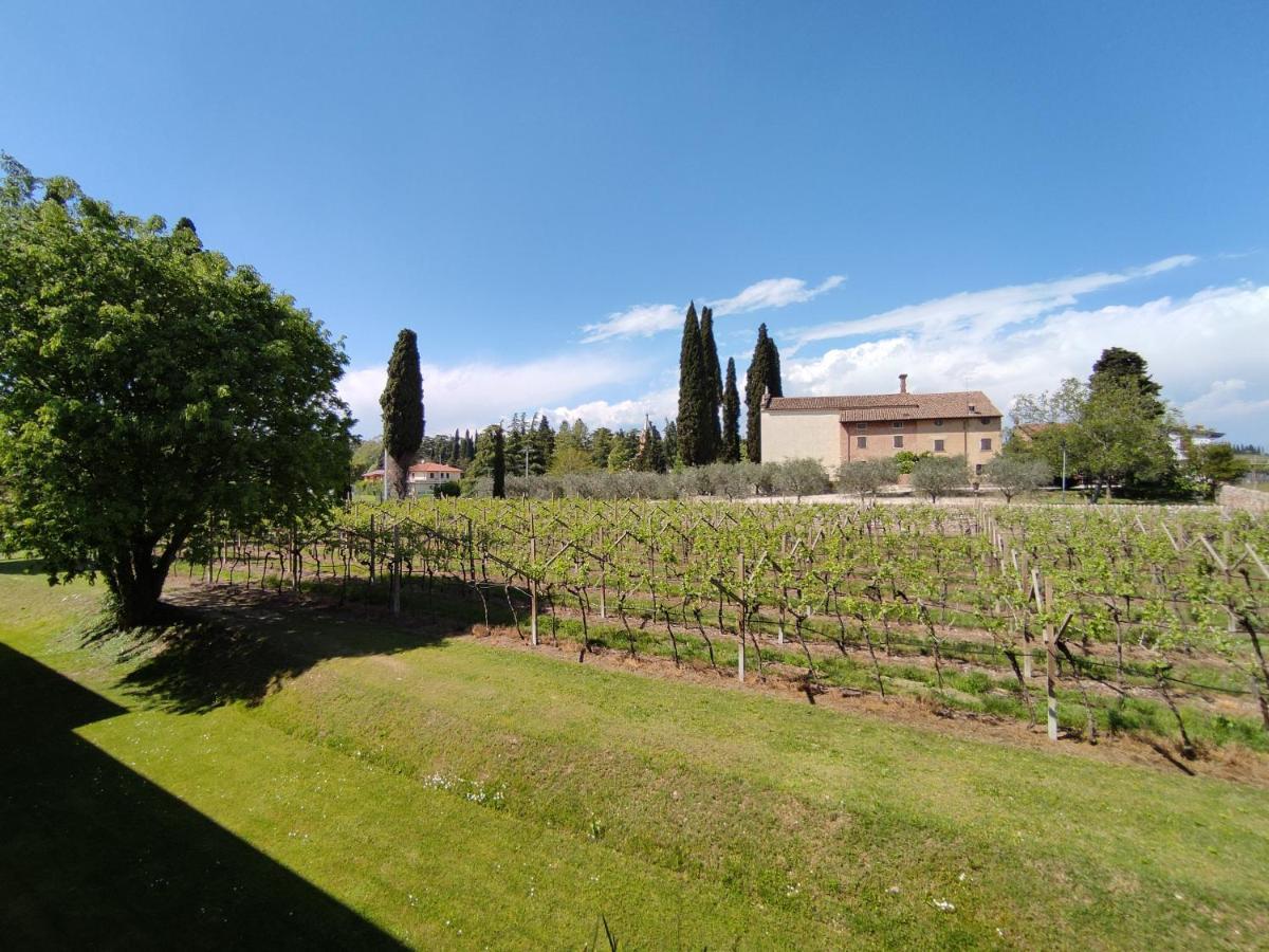 Agriturismo La Vigna Cola  ภายนอก รูปภาพ