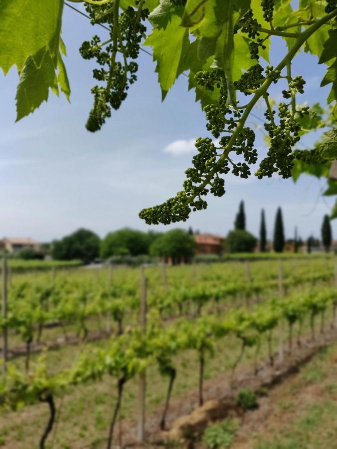 Agriturismo La Vigna Cola  ภายนอก รูปภาพ